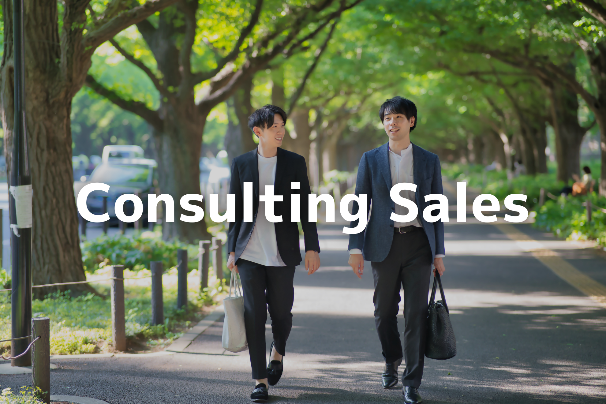 Position Image of Consulting Sales